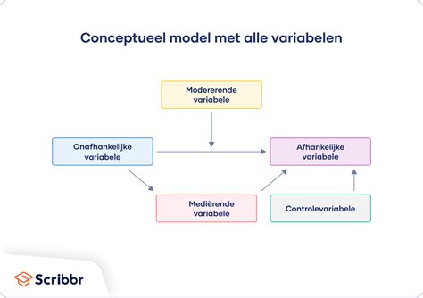 afhankelijk en onafhankelijke variabele|Een introductie tot verschillende soorten variabelen 